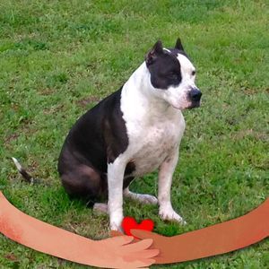 Meet your Posher, Elizabeth noland